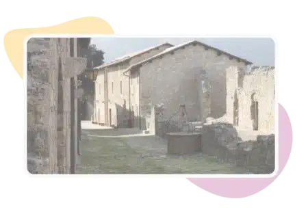 droit viager au logement conjoint survivant